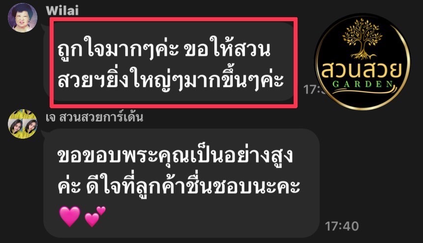 รับจัดสวน