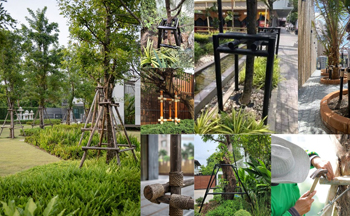 บริการติดตั้งระแนงในสวน
